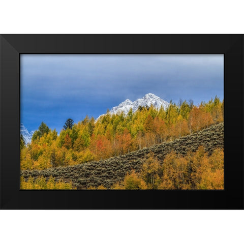 Mountain Fall Color Black Modern Wood Framed Art Print by Galloimages Online