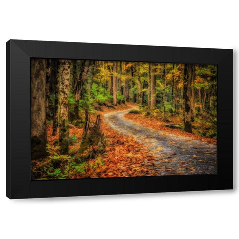 Path In Greenbrier Watercolor Black Modern Wood Framed Art Print with Double Matting by Galloimages Online