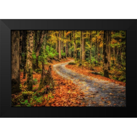 Path In Greenbrier Watercolor Black Modern Wood Framed Art Print by Galloimages Online