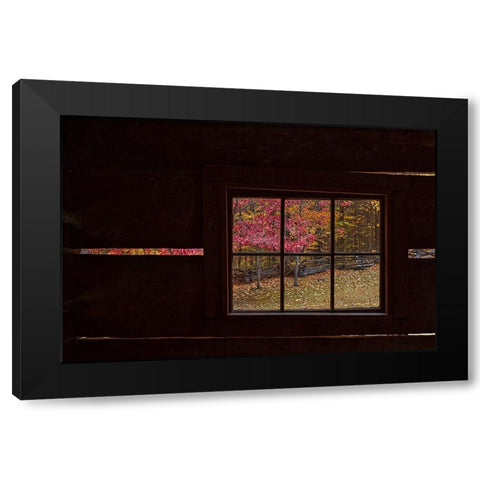 Roaring Fork Cabin Window Black Modern Wood Framed Art Print by Galloimages Online