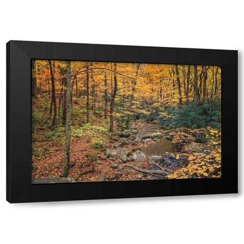 Roaring Fork Stream Black Modern Wood Framed Art Print by Galloimages Online