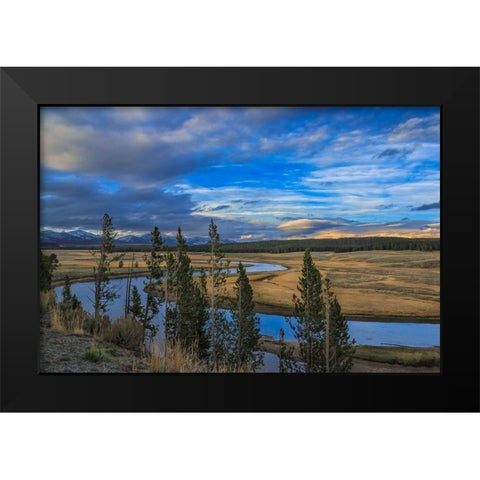 S Curve Hayden Valley Black Modern Wood Framed Art Print by Galloimages Online