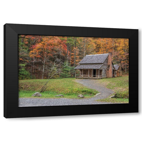 Smokies Cabin 2 (Hw) Black Modern Wood Framed Art Print with Double Matting by Galloimages Online