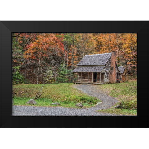 Smokies Cabin 2 (Hw) Black Modern Wood Framed Art Print by Galloimages Online