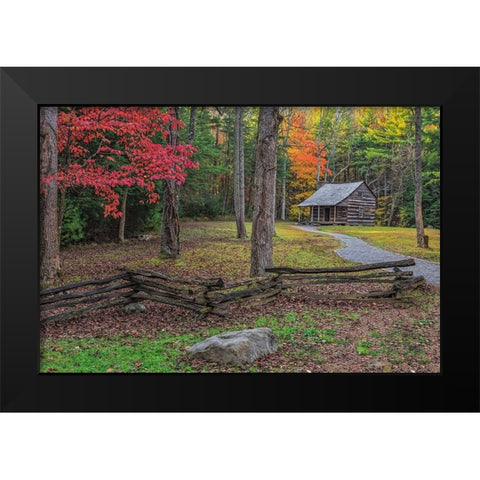Smokies Cs Cabin Black Modern Wood Framed Art Print by Galloimages Online
