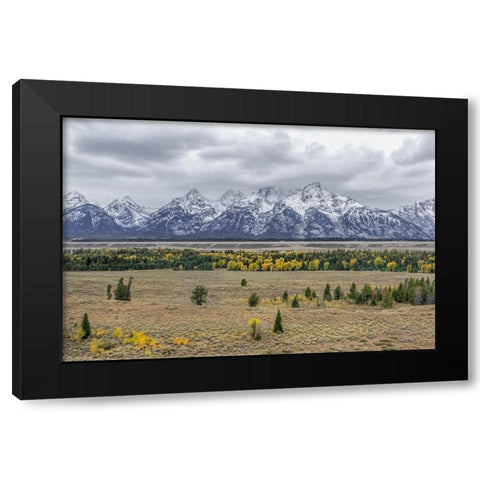 Teton Fall Colors Black Modern Wood Framed Art Print by Galloimages Online