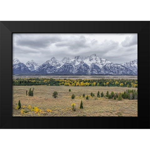 Teton Fall Colors Black Modern Wood Framed Art Print by Galloimages Online