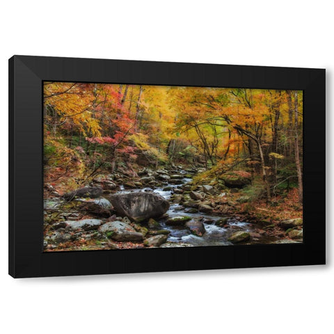 Tremont Stream Watercolor Black Modern Wood Framed Art Print by Galloimages Online