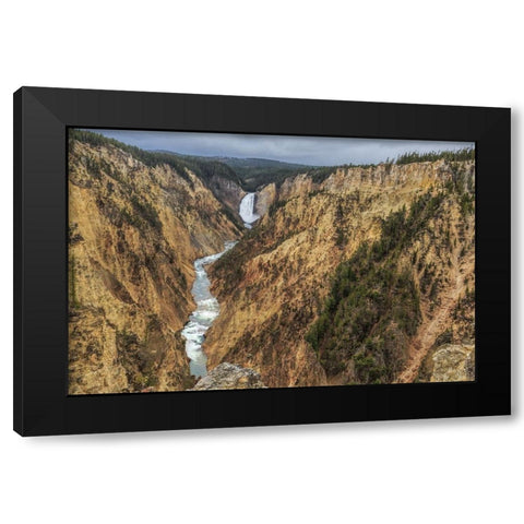 Yellowstone Grand Canyon - Lower Falls Black Modern Wood Framed Art Print by Galloimages Online