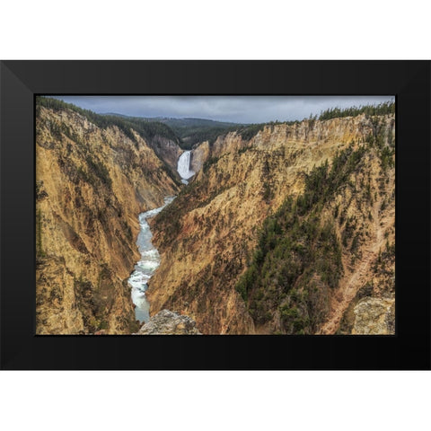Yellowstone Grand Canyon - Lower Falls Black Modern Wood Framed Art Print by Galloimages Online