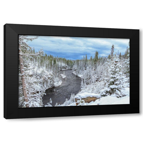 Yellowstone Winter In Fall Black Modern Wood Framed Art Print with Double Matting by Galloimages Online