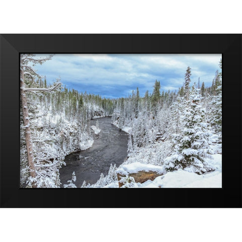 Yellowstone Winter In Fall Black Modern Wood Framed Art Print by Galloimages Online