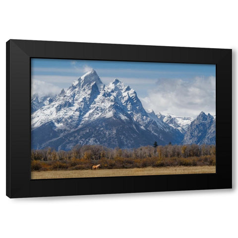 A Horse In Front Of The Grand Teton Black Modern Wood Framed Art Print by Galloimages Online