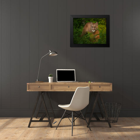 Focused Black Modern Wood Framed Art Print by Galloimages Online