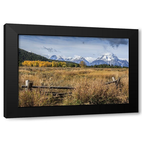 GTNP Scene Mt. Moran Black Modern Wood Framed Art Print with Double Matting by Galloimages Online