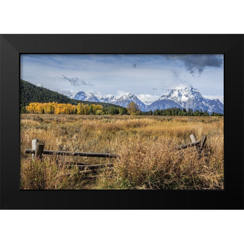 GTNP Scene Mt. Moran Black Modern Wood Framed Art Print by Galloimages Online