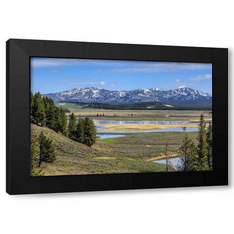 Hayden Valley (YNP) Black Modern Wood Framed Art Print with Double Matting by Galloimages Online