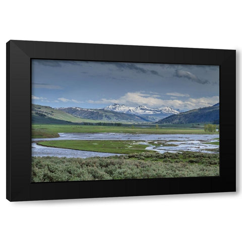 Lamar Valley (YNP) Black Modern Wood Framed Art Print by Galloimages Online