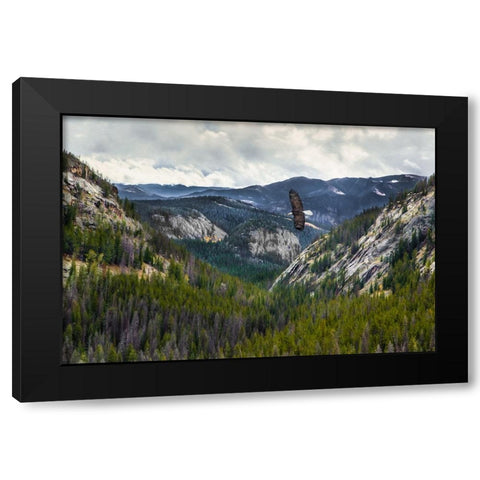 Mountains With Eagle Black Modern Wood Framed Art Print with Double Matting by Galloimages Online