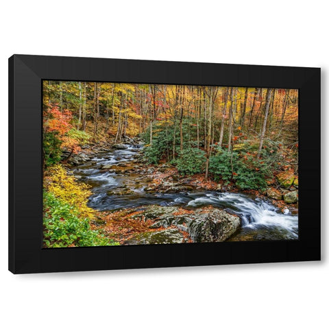 Tremont Stream Black Modern Wood Framed Art Print with Double Matting by Galloimages Online