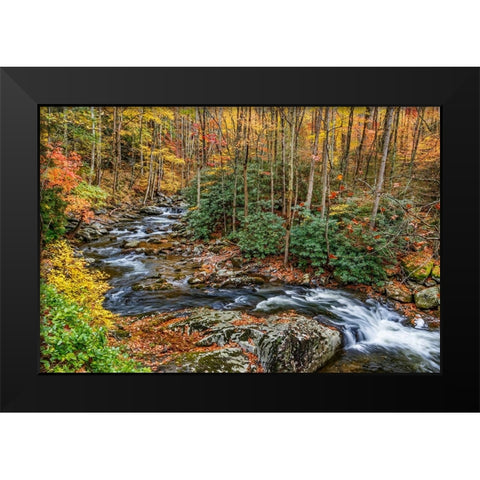 Tremont Stream Black Modern Wood Framed Art Print by Galloimages Online