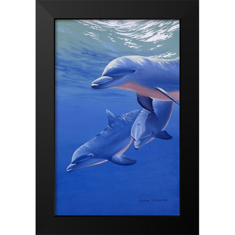 Dolphin Smile Black Modern Wood Framed Art Print by Stevenson, Graeme
