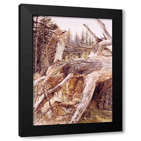 Midnite Prince Black Modern Wood Framed Art Print with Double Matting by Stevenson, Graeme