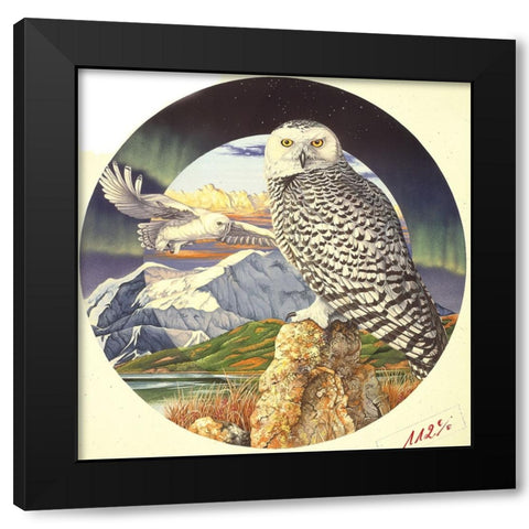 Northern Lights Black Modern Wood Framed Art Print with Double Matting by Stevenson, Graeme