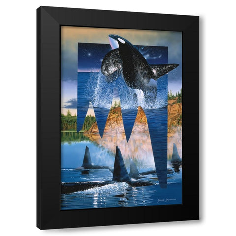 Orca Reflections Black Modern Wood Framed Art Print with Double Matting by Stevenson, Graeme