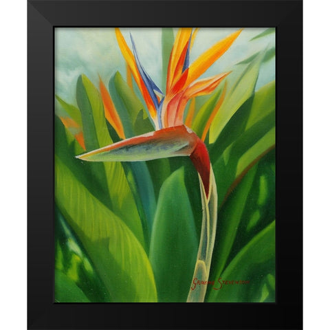 Paradise 2 Black Modern Wood Framed Art Print by Stevenson, Graeme