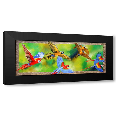 Parrot Party Black Modern Wood Framed Art Print by Stevenson, Graeme