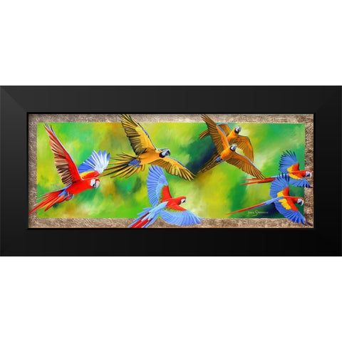 Parrot Party Black Modern Wood Framed Art Print by Stevenson, Graeme