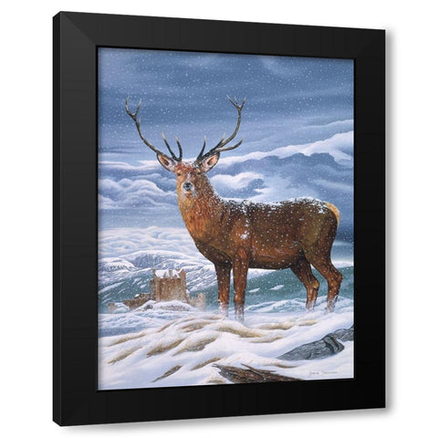 Royal Scot Black Modern Wood Framed Art Print with Double Matting by Stevenson, Graeme