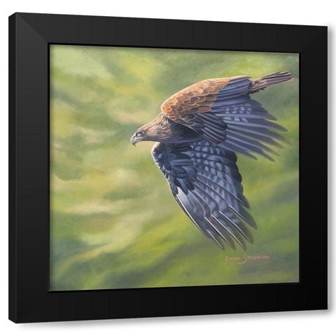 The Stoop Black Modern Wood Framed Art Print with Double Matting by Stevenson, Graeme