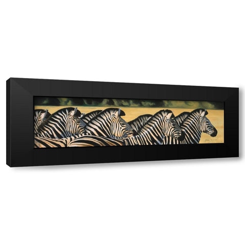 Zebras Black Modern Wood Framed Art Print with Double Matting by Stevenson, Graeme