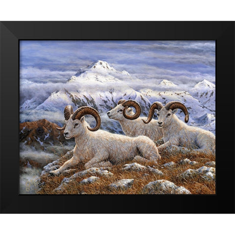 Denali Rams Black Modern Wood Framed Art Print by Tift, Jeff