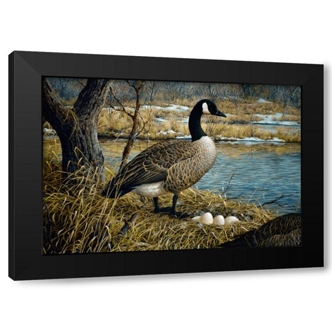 Canadian Goose Black Modern Wood Framed Art Print with Double Matting by Tift, Jeff
