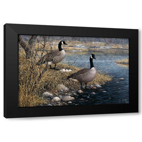 Canadian Pair Black Modern Wood Framed Art Print by Tift, Jeff