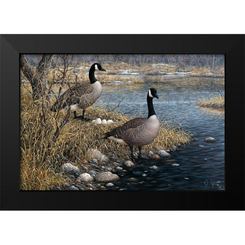 Canadian Pair Black Modern Wood Framed Art Print by Tift, Jeff