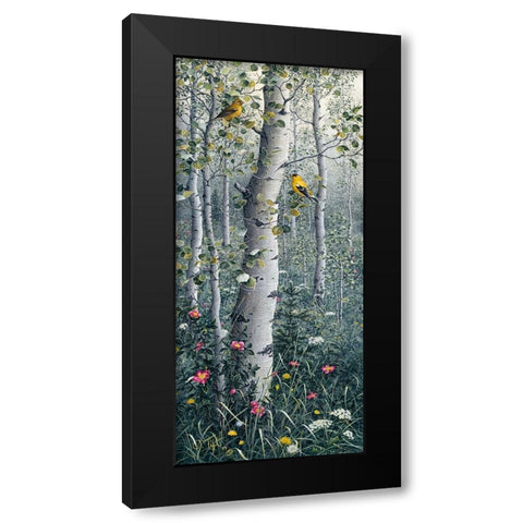 American Goldfinch Black Modern Wood Framed Art Print with Double Matting by Tift, Jeff