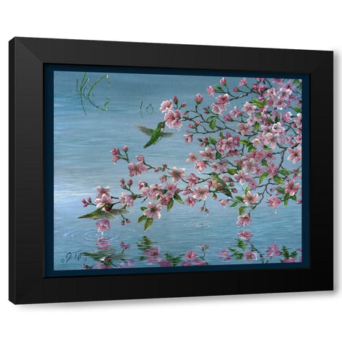 Broad Tailed Hummer Black Modern Wood Framed Art Print by Tift, Jeff