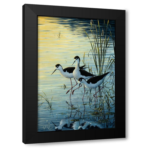 Elegant Trio - Blacknecked Stilts Black Modern Wood Framed Art Print by Tift, Jeff