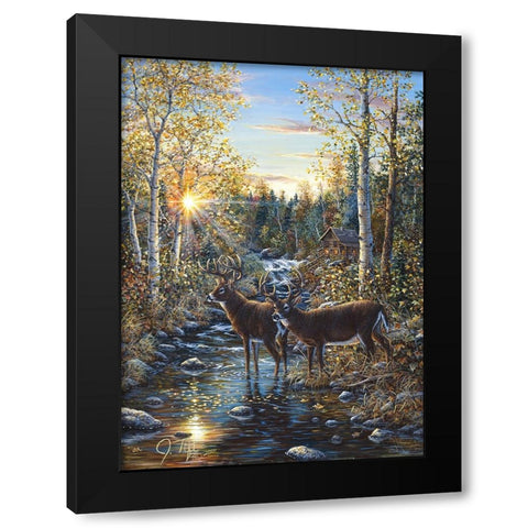 Whitetail Deer Black Modern Wood Framed Art Print by Tift, Jeff