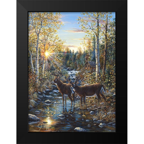 Whitetail Deer Black Modern Wood Framed Art Print by Tift, Jeff