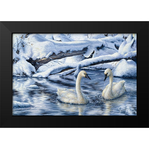 Tundra Swans Black Modern Wood Framed Art Print by Tift, Jeff
