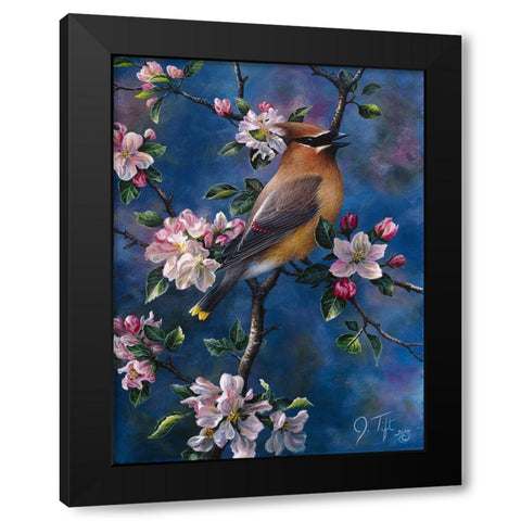 Cedar Waxwing Black Modern Wood Framed Art Print with Double Matting by Tift, Jeff