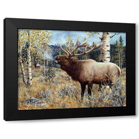 Wapiti Black Modern Wood Framed Art Print by Tift, Jeff