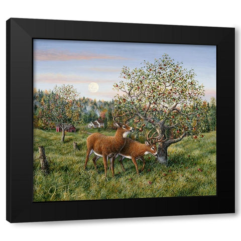 Whitetails Under The Apple Tree Black Modern Wood Framed Art Print with Double Matting by Tift, Jeff