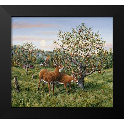 Whitetails Under The Apple Tree Black Modern Wood Framed Art Print by Tift, Jeff