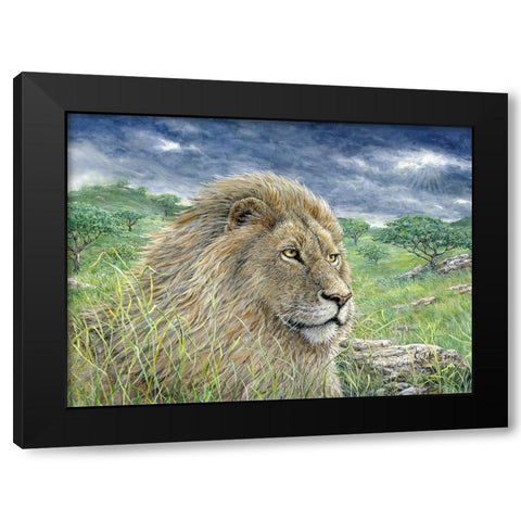 Lion Painting Finished 2 Black Modern Wood Framed Art Print with Double Matting by Tift, Jeff